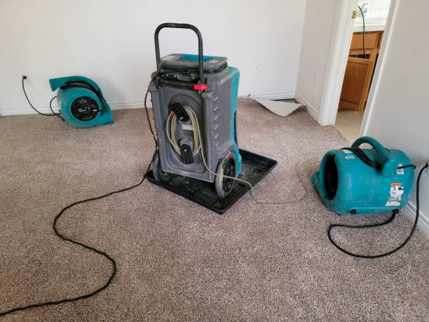 Best Professional water damage repair  in Storm Lake, IA