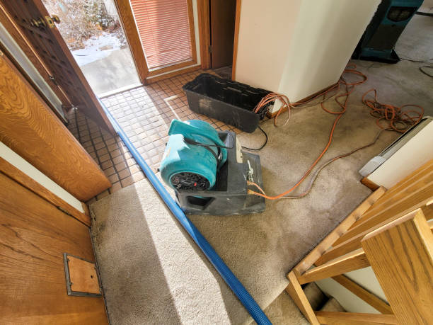 Best Water damage restoration experts  in Storm Lake, IA